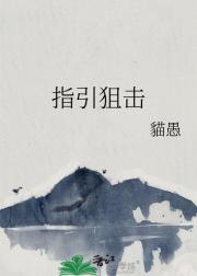 指引狙击