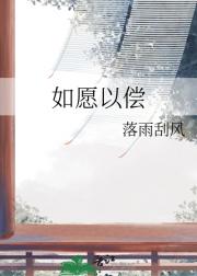 如愿以偿