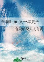全职叶黄-又一年夏天