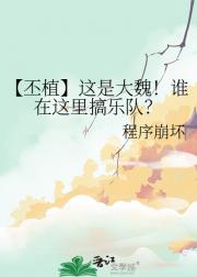 【丕植】这是大魏！谁在这里搞乐队？
