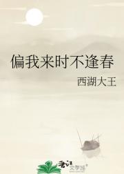 偏我来时不逢春