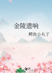 金陵遗响