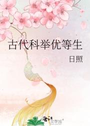 古代科举优等生