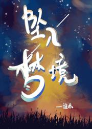 坠入梦境