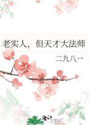 老实人，但天才大法师