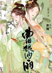 曹魏两丽