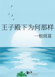 王子殿下为何那样