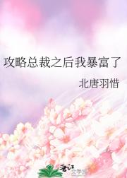 霸道总裁是我哥