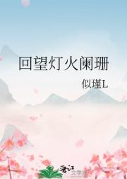 回望灯火阑珊