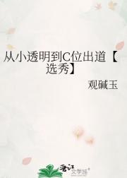 从小透明到C位出道【选秀】