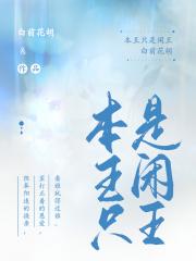 本王只是闲王（女尊）