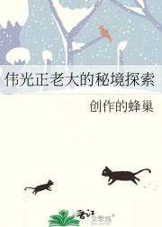 伟光正老大的秘境探索