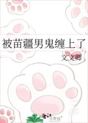 被苗疆男鬼缠上了