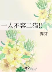 一人不容二猫!!