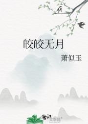 皎皎无月