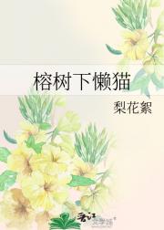 榕树下懒猫