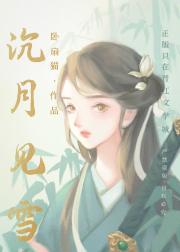 沉月见雪
