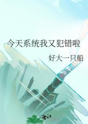 今天系统我又犯错啦