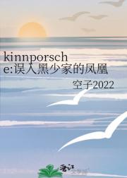 kinnporsche:误入黑少家的凤凰