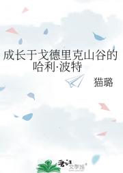 成长于戈德里克山谷的哈利·波特
