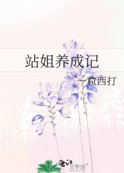 站姐养成记