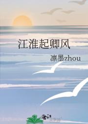江淮起卿风