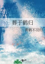 葬于鹤归