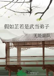 假如芷若是武当弟子