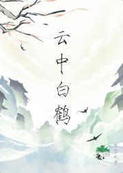 云中白鹤