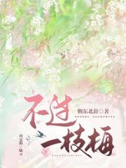 不过一枝梅