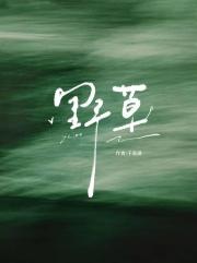 【国乒】野草