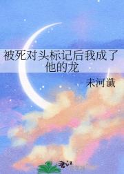 被死对头标记后我成了他的龙