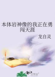 本体岩神像的我正在勇闯天涯