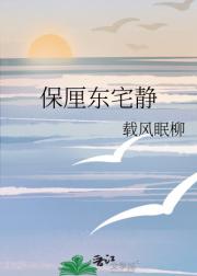 保厘东宅静