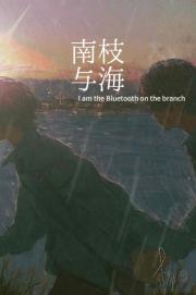 南枝与海