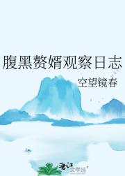 腹黑赘婿观察日志