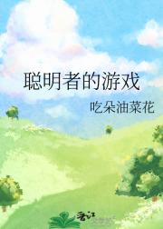 聪明者的游戏