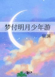 梦付明月少年游
