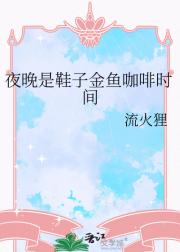 夜晚是鞋子金鱼咖啡时间
