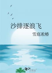 沙排逐浪飞