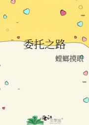委托之路