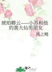 琥珀卿云——小苏和他的黄大仙男朋友