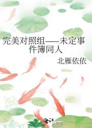 完美对照组——未定事件簿同人