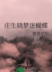 庄生晓梦迷蝴蝶