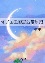 怀了国王的崽后带球跑