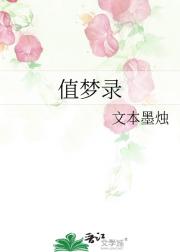 值梦录