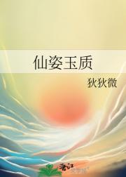 仙姿玉质