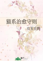 猫系治愈守则