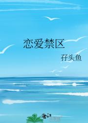 恋爱禁区