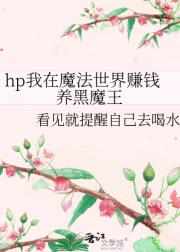 hp我在魔法世界赚钱养黑魔王